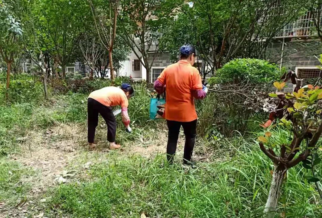 聚龍4.jpg 聚龍4.jpg